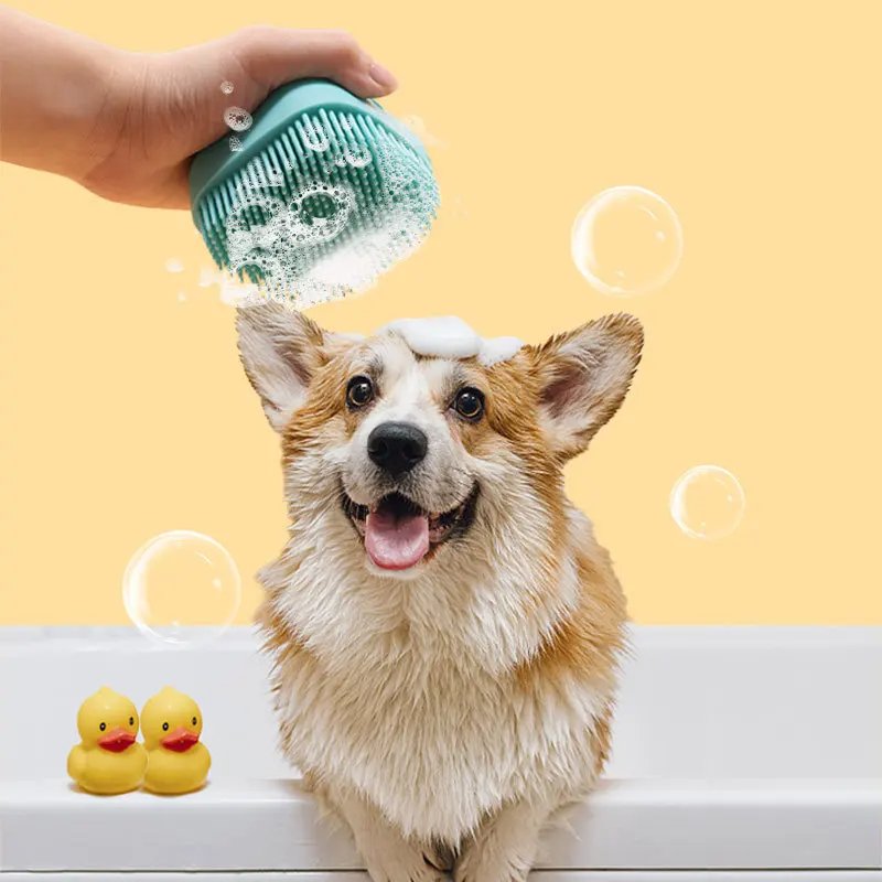 Brosse à savon massage pour chien™ - Clic chien